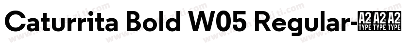 Caturrita Bold W05 Regular字体转换